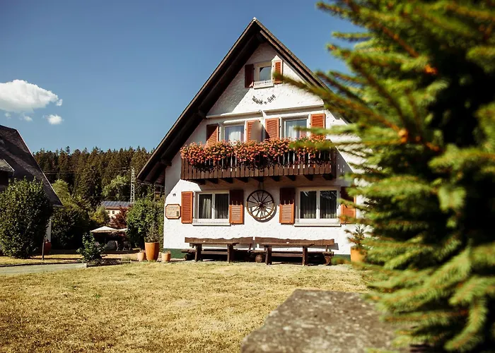 Wald Und See